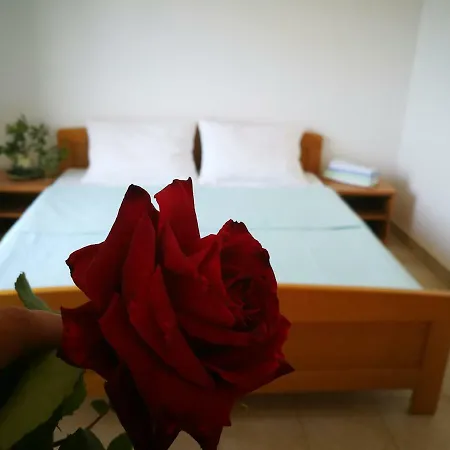 Apartment Elenor